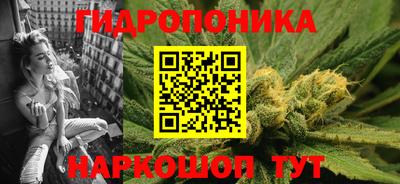 дмт Гудермес